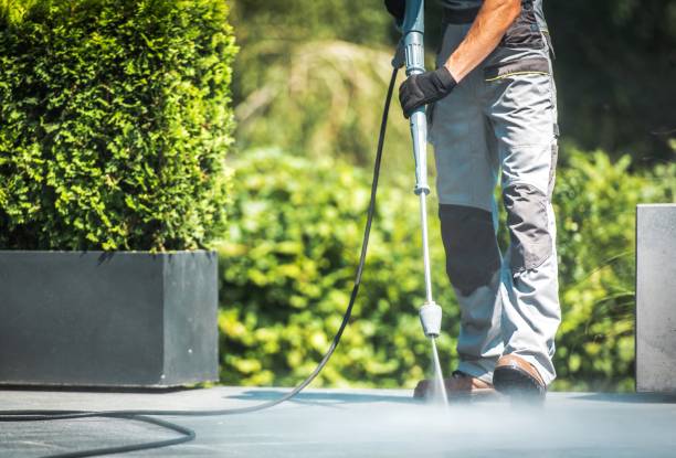 Best Pool Deck Cleaning  in Franklin Park, IL