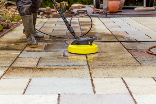 Best Pre-Holiday Cleaning  in Franklin Park, IL